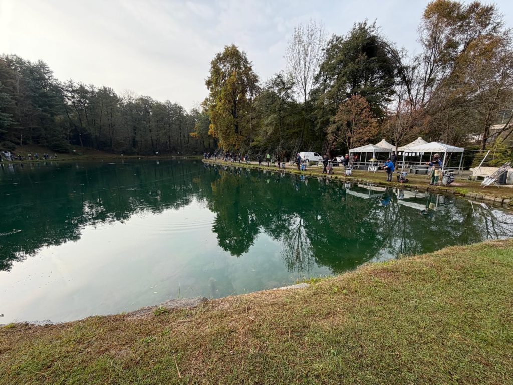 WhatsApp Image 2025-10-28 at 09.52.48